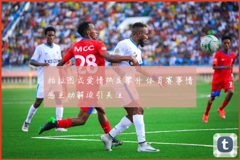 柏拉图式爱情热度攀升 体育赛事情感互动解读引关注