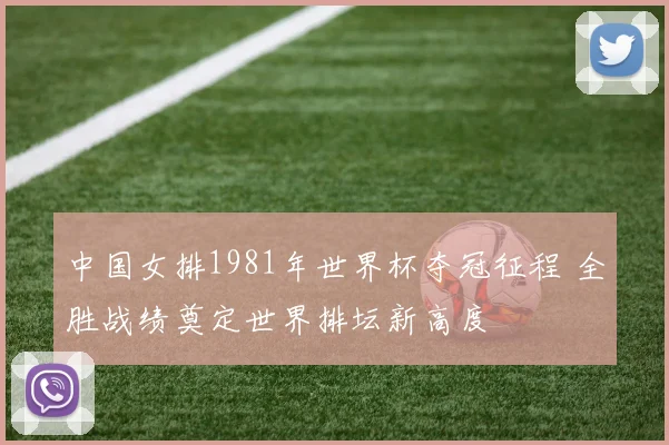 中国女排1981年世界杯夺冠征程 全胜战绩奠定世界排坛新高度