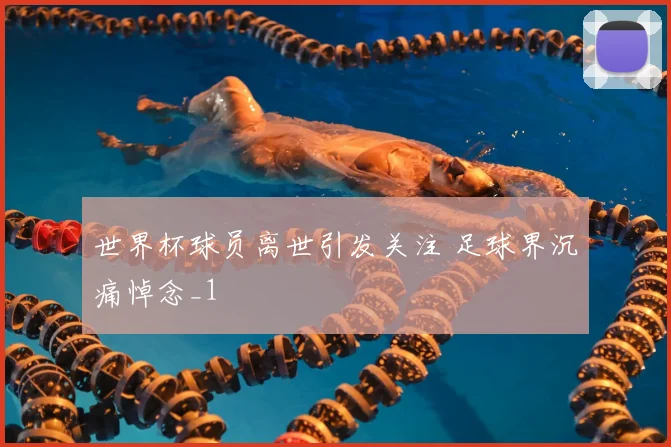 世界杯球员离世引发关注 足球界沉痛悼念_1