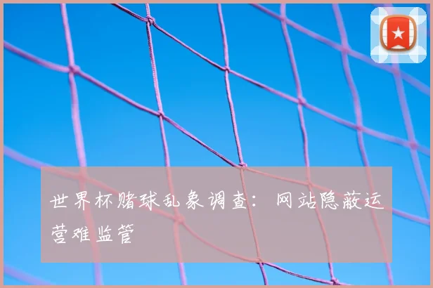 世界杯赌球乱象调查：网站隐蔽运营难监管